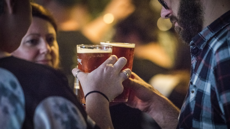 Ale Celebration Launch: Free Tasting Event