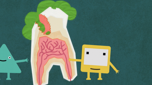 Okido Art & Science Workshop (Teeth)