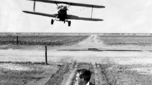Films That Love the Cinema