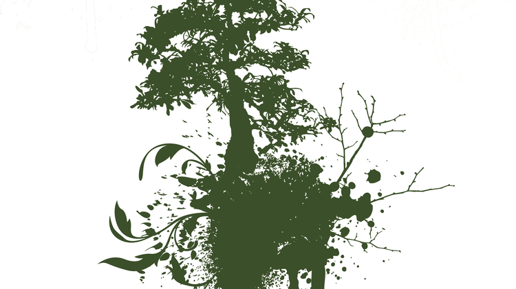 Plants without borders