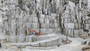 Anthropocene : The Human Epoch