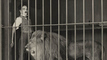 The Circus