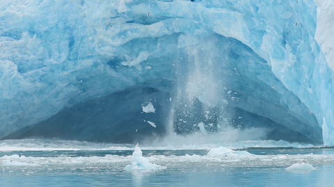 Ice on Fire: RIFA Finalist Short Films