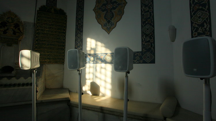 Lunchtime Talk: Ghosts, Noise and Model Brains