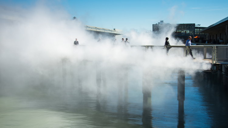 Fog Bridge