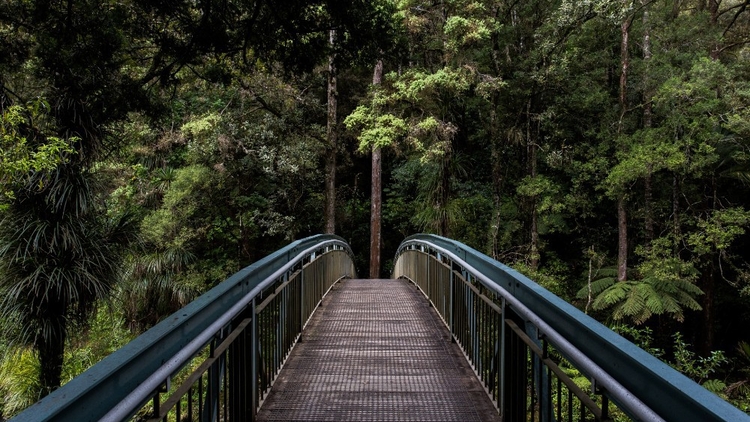 Nature, creativity and coaching