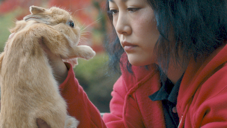 Kumiko The Treasure Hunter