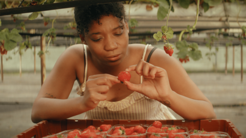 Homegrown