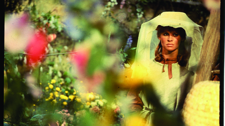 Far from the Madding Crowd
