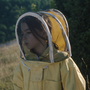 20,000 Species Of Bees