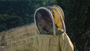 20,000 Species Of Bees