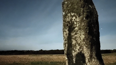 A Year in a Field