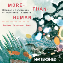 More-Than-Human: Cinematic Landscapes of Otherness in Nature