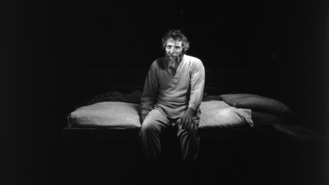 The Turin Horse