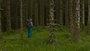 A hiker wearing a backpack is standing on green grassy ground surrounded by trees