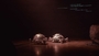 Image of two AI-powered robotic tortoises.