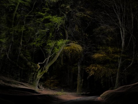 FRAMERATE: Pulse of the Earth