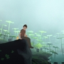 Wordless Wonders