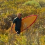 The Surfer