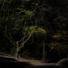 Step to the Earth