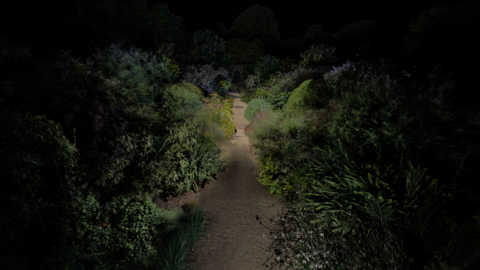 A beautiful green forset with a pathway in the middle.