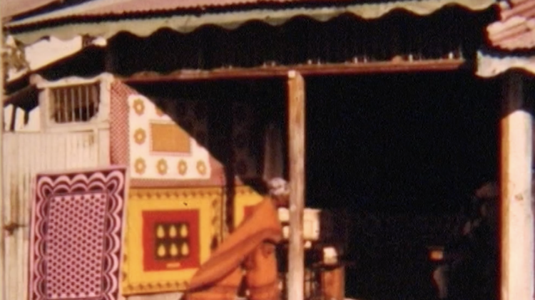 Colonial Reels: Histories and Afterlives of Colonial Film Collections Discussion