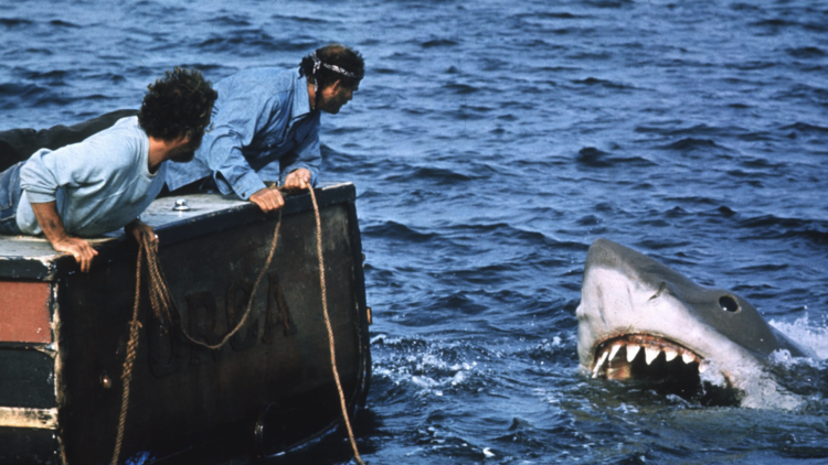 Jaws
