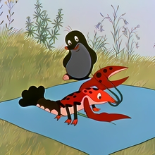 Nature’s Resources: Animated Adventures for Families