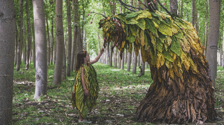 GROUNDED: Fashion’s Entanglements with Nature