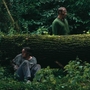 Two individuals stand near a moss-covered fallen tree in a dense forest, surrounded by vibrant greenery and underbrush.