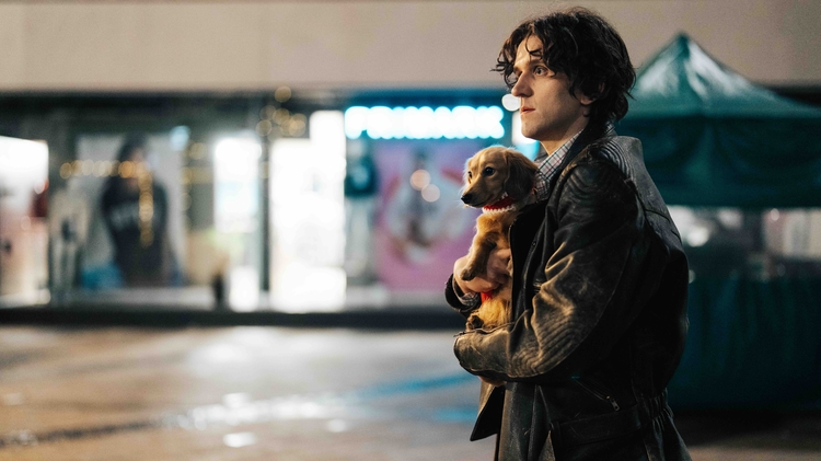 A person in a leather jacket holds a small dog close, standing in an empty nighttime urban setting with glowing shopfronts.