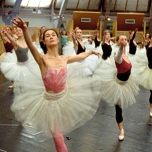 A group of ballet dancers in tutus practicing in a dance studio, showcasing various positions and graceful movements.