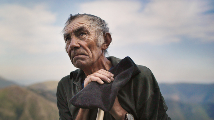 The Shepherd and the Bear