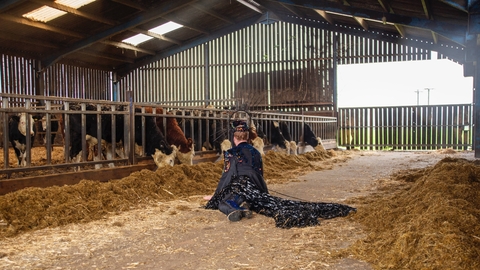 An image of a person adorned in all black, with a cape-like garment at the back, lying semi prone on the floor of a barn in a farm. The cape-like element of their outfit is decorated with multi coloured trinkets of varying materials. In the background of the image, cows in a paddock can be seen, with the space illuminated by natural light coming through the entrance to the right of the image. 