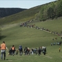 A large group of hikers ascends a grassy hill, with trees and rocky terrain in the background on a sunny day.