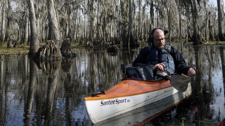 Man in an orange kayak paddles through a calm swamp with tall cypress trees draped in moss. He wears a life jacket and headphones, conveying focus.