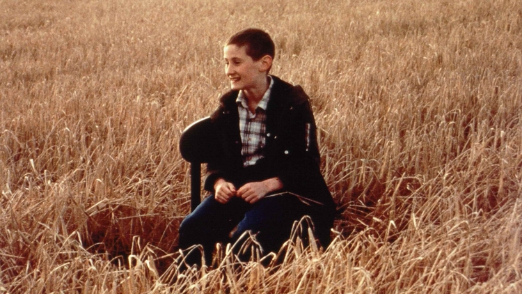 A boy sitting on a chair in the middle of a golden wheat field, wearing a plaid shirt and dark jacket.