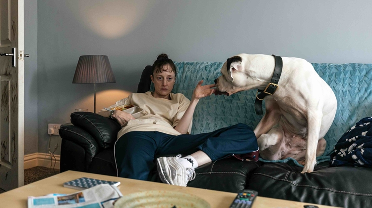 Woman sitting on a couch holding her hand by a large white dog, with a lamp, TV remotes, and newspapers on a nearby table.