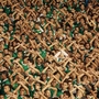 Crowd of sports fans wearing green jerseys, raising their arms and crossing them in unison, showing unified support.