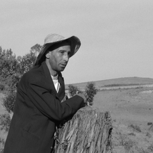 A person wearing a hat and dark jacket leans on a tree stump in a sparse rural landscape with hills and trees.