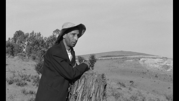 A person wearing a hat and dark jacket leans on a tree stump in a sparse rural landscape with hills and trees.