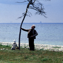 Two people near a bent, leafless tree by a rocky shore with calm blue water and distant land on the horizon.