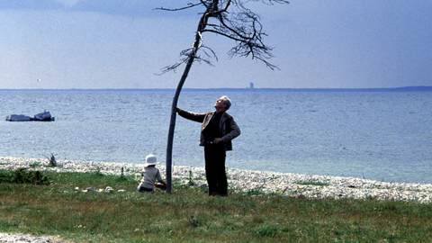 Two people near a bent, leafless tree by a rocky shore with calm blue water and distant land on the horizon.