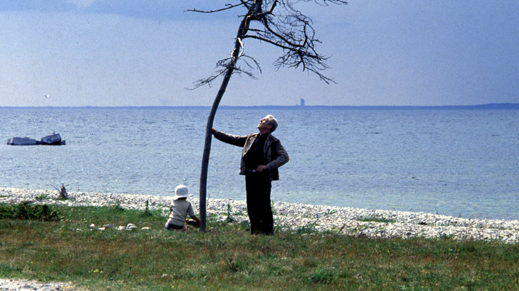 Two people near a bent, leafless tree by a rocky shore with calm blue water and distant land on the horizon.