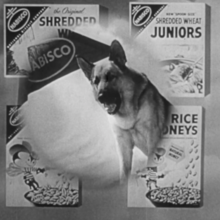 The Movie Orgy - dog and cereal