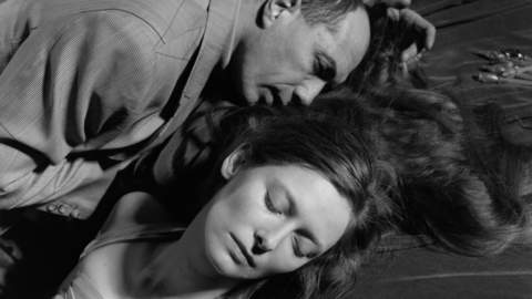 The Party: Nature Morte
