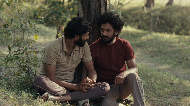 Two men sitting under a tree talking.