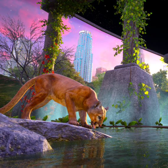 A cougar drinks from a serene pond beneath a vine-covered overpass, set against a vibrant sunset sky and distant skyscraper, blending nature and urban life.