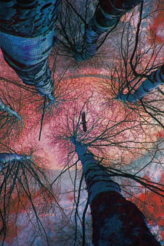 SENTIENTS