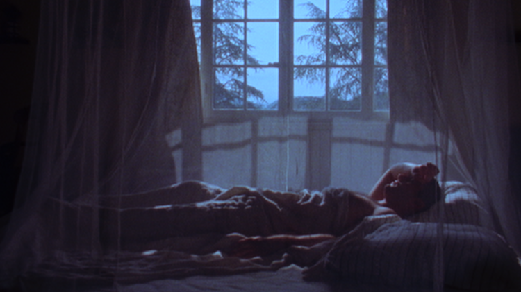 In a dimly lit bedroom, a person lies on a bed beneath a translucent mosquito net canopy. Blue moonlight enters through a large-paned window behind them, casting soft shadows across the room. Silhouettes of trees are visible outside, while the figure rests with one arm bent behind their head, creating a quiet, contemplative atmosphere. The image has a dreamlike, cinematic quality, with deep blues and soft focus enhancing the sense of solitude and reflection. 